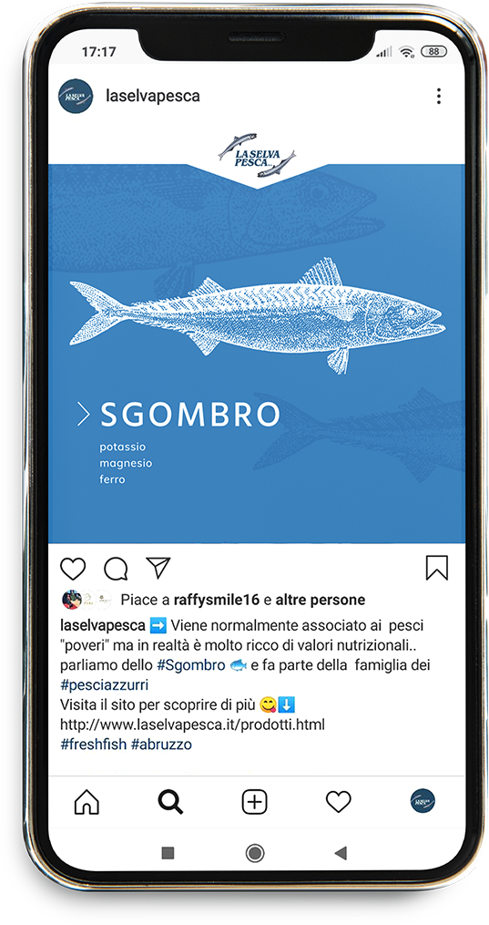smartphone la selva 1