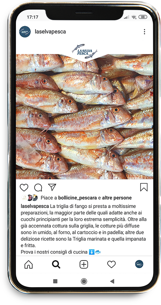 smartphone la selva 2